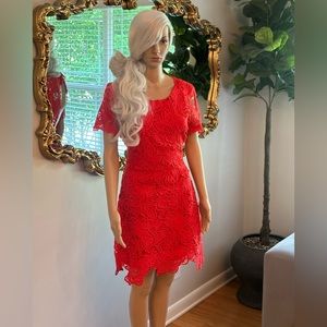 Ark & Co Red Lace stunning dress